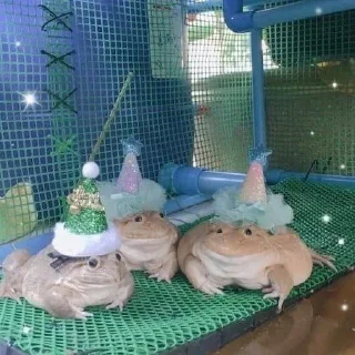 Sticker @StickersFuck1 - 5