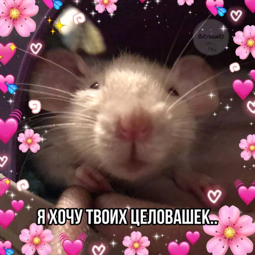 животное млекопитающее грызун