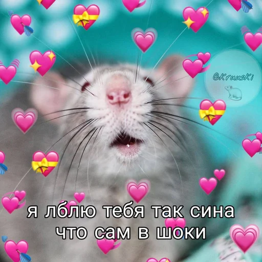 млекопитающее грызун животное