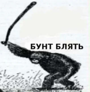 Sticker крашихи - 10