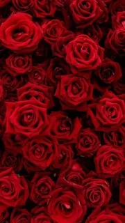 Стикер Aesthetics @stickersb2b - 11