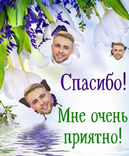 кридитка болота - человеческое лицо