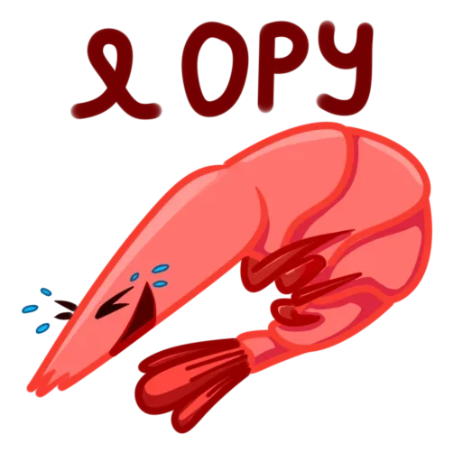 Shrimp @stickersb2b - 