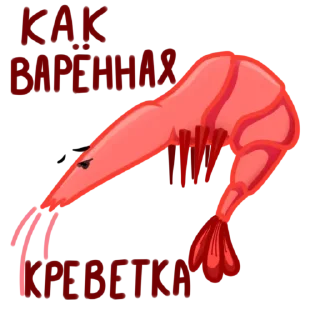 Стикер Shrimp @stickersb2b - 3