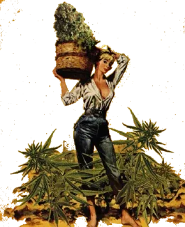 Стикер over dose - 11