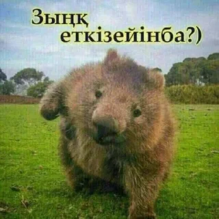 Sticker Передоз кринжа - 2