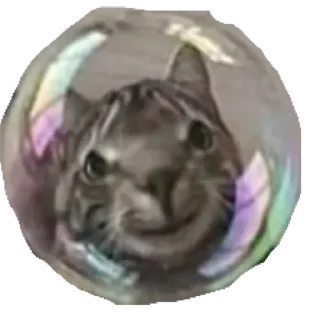 Sticker кринге - 9