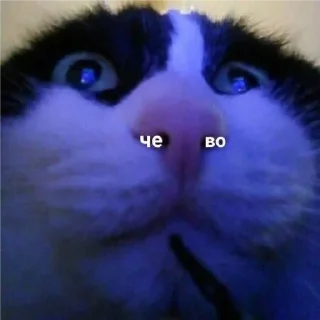 Sticker кринге - 8