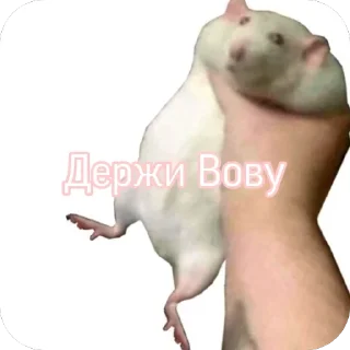 Sticker кринж - 3