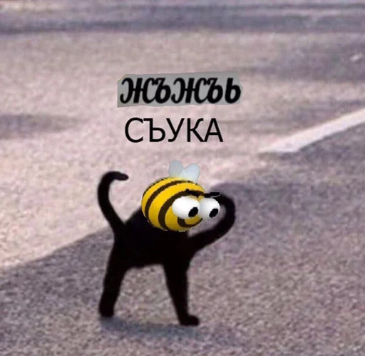 СМС мультфильм на открытом воздухе