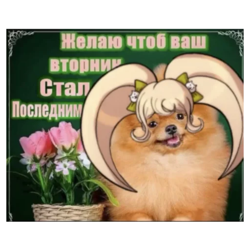 цветок мультфильм СМС