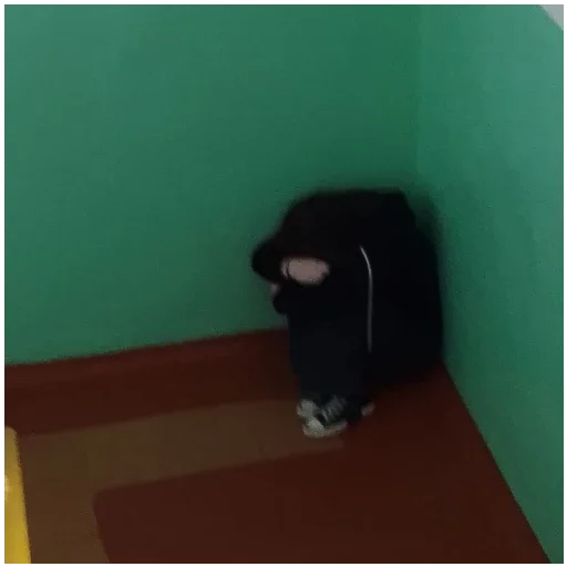 #кристинагруститвшколеналестницевуглу - 