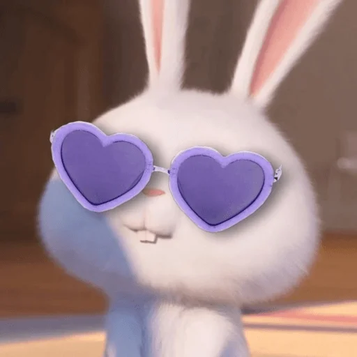 кролик Очки кролики и зайцы