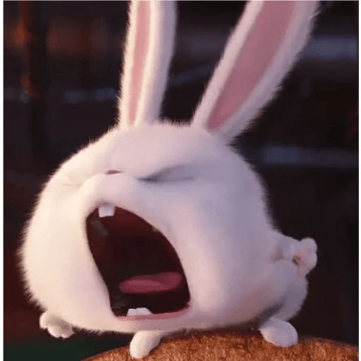 кролик млекопитающее животное