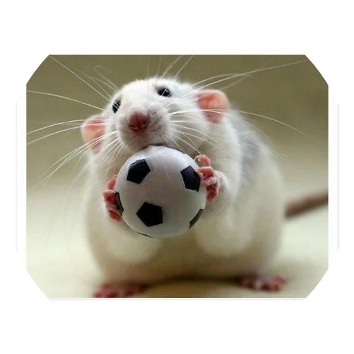 Sticker krovavokrasnyi2 - 1