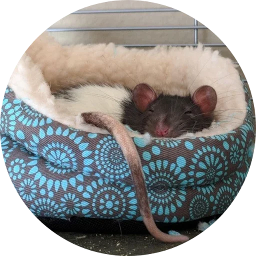 Sticker krovavokrasnyi2 - 1