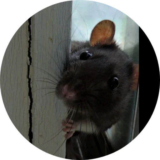 Sticker krovavokrasnyi2 - 1