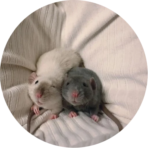 Sticker krovavokrasnyi2 - 1