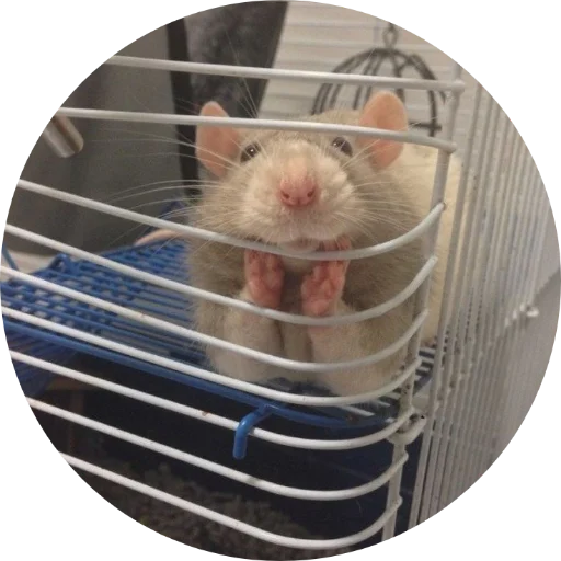 Sticker krovavokrasnyi2 - 1