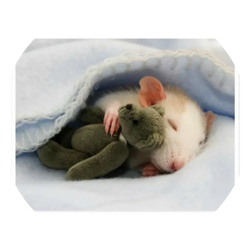 Sticker krovavokrasnyi2 - 1