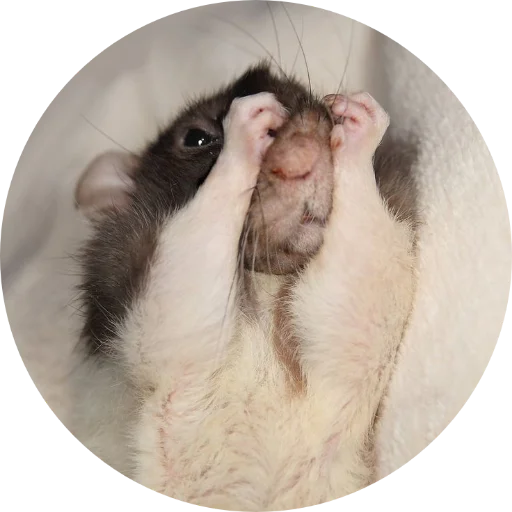 Sticker krovavokrasnyi2 - 1