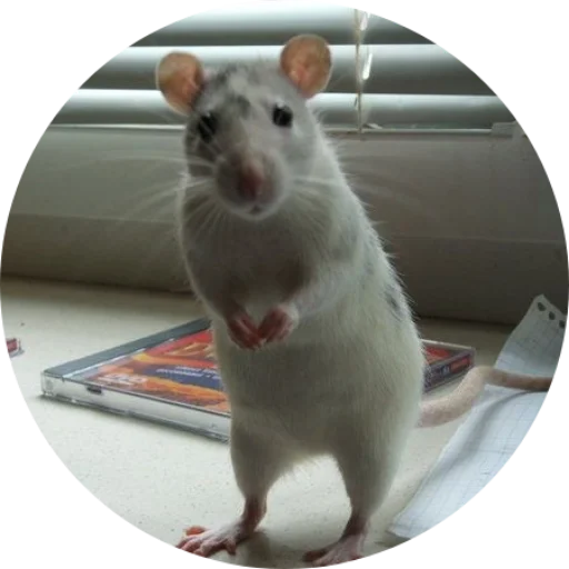 Sticker krovavokrasnyi2 - 1