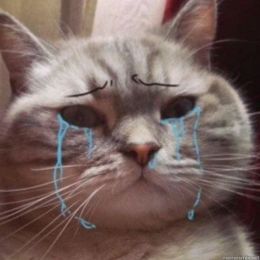 Qit by @kroygen by @fStikBot - small to medium-sized cats