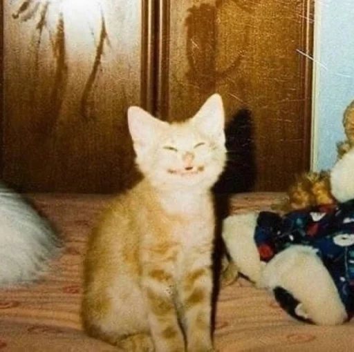 Sticker ты не картошка.. - 11