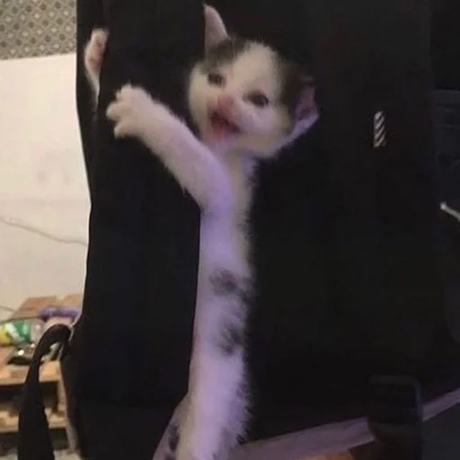 Sticker ты не картошка.. - 10