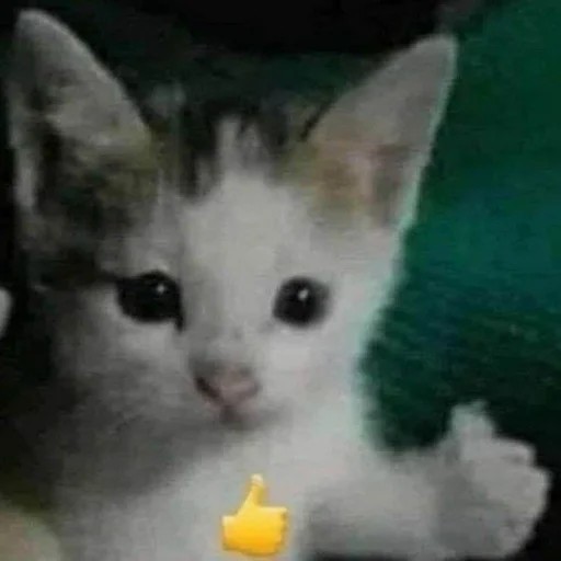 Sticker ты не картошка.. - 6