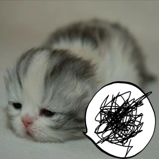 Sticker ты не картошка.. - 3