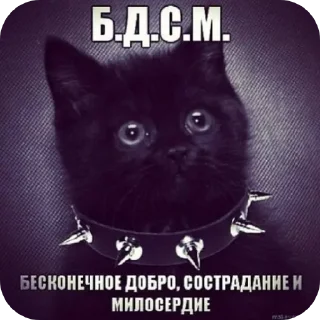 Стикер круть - 1