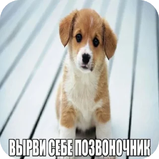 Стикер круть - 4