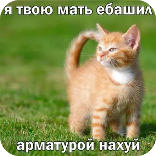 Стикер круть - 5