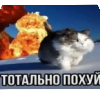 Стикер круть - 7