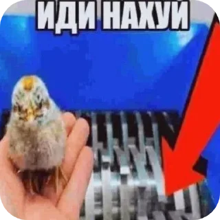 Стикер круть - 6