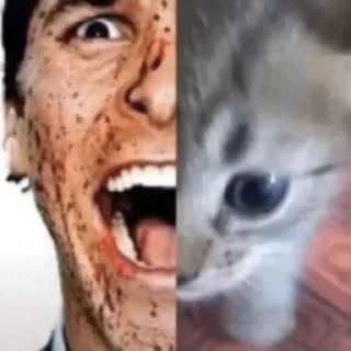 Sticker чушь и ерунда t.me/addstickers/dumbasscats - 3