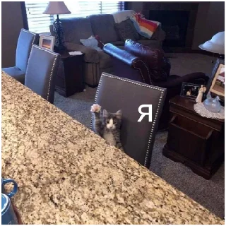 Стикер кшки (@to_ease) - 11