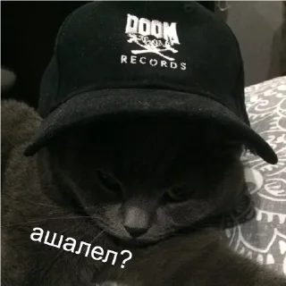 Стикер кшки (@to_ease) - 2