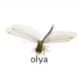 Стикер смешно - 3