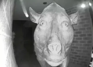 Стикер смешно - 11