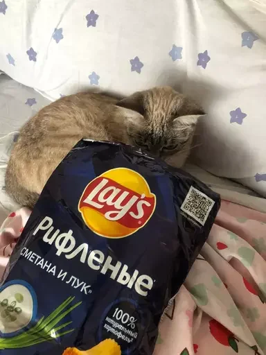 Sticker ксюха дж - 8