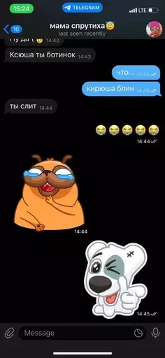 Sticker ксюха дж - 7