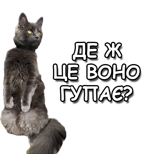 Стикер Kherson vs all - 10