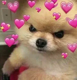 Стикер сабакены @iam13yo - 5