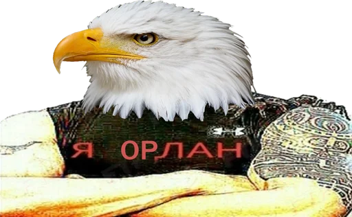 Стикер мы еблан - 7