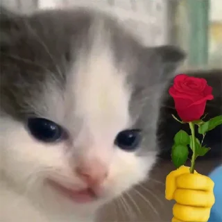 Стикер Культиварварство - 8