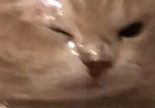 Sticker kuadrokit - 1