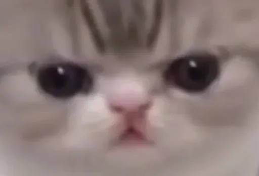 Стикер kuadrokit - 1