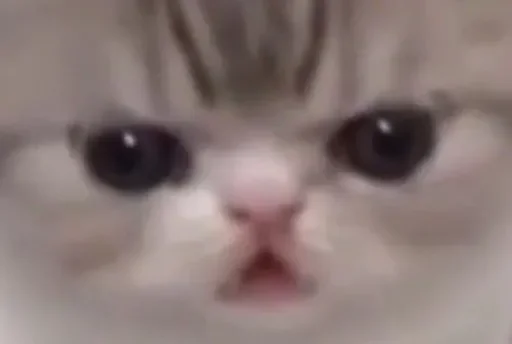 Sticker kuadrokit - 1